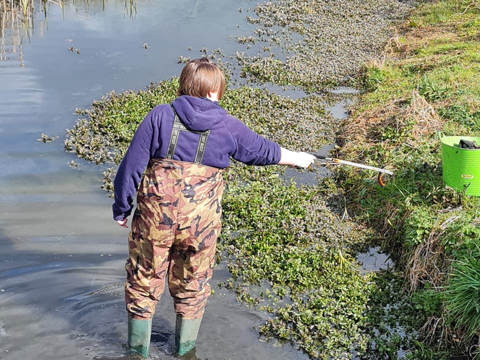 Litter picking Milton Ave pond